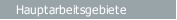 Hauptarbeitsgebiete