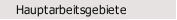 Hauptarbeitsgebiete